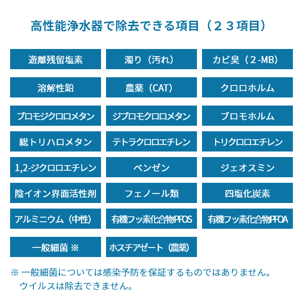 除去できる２３項目の図